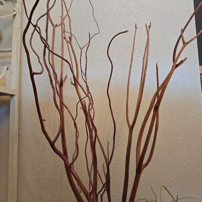 Matching Decorative Vase Set with Natural Fill