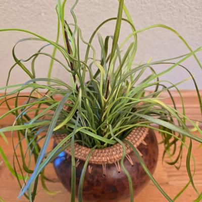 Matching Decorative Vase Set with Natural Fill