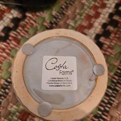 Southwest Decor Bundle – Cactus Art, Pottery, Succulent Planter & Woven Mats