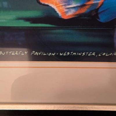 Peacock Vase, Glass Bud Vase, and Framed Butterfly Art