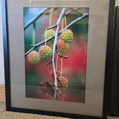 Pair of Framed Art Prints with Decorative Vase
