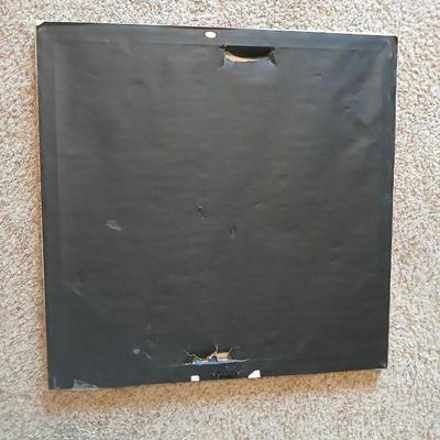 Decor Lot – Throw Rug, New Drapes & Floral Canvas Art