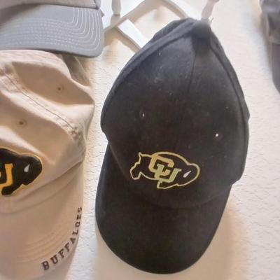 6 Sports Team Baseball Caps with wooden holder