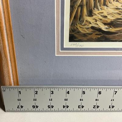 Flying Geese Print by Mark Anderson, numbered 1168/1750