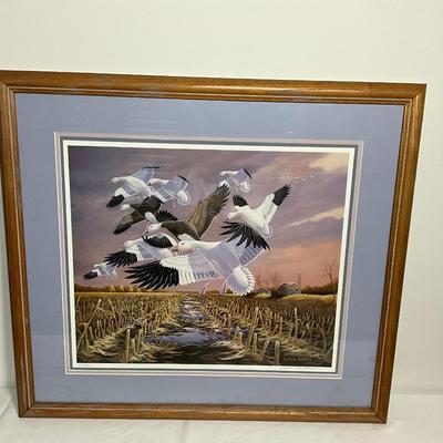 Flying Geese Print by Mark Anderson, numbered 1168/1750
