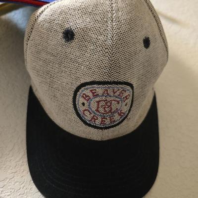 Assorted Baseball Caps & Visor – Colorado, Golf, Washington DC & More (7 Pieces)