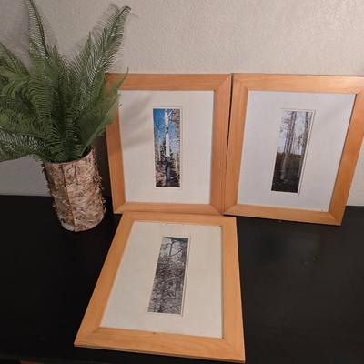 Seasonal Aspen Tree Photo Trio - Summer - Fall - Winter with faux tree trunk vase and greenery