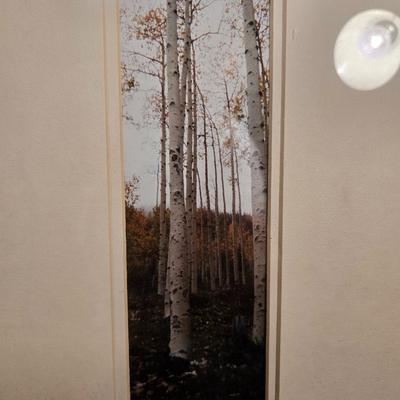 Seasonal Aspen Tree Photo Trio - Summer - Fall - Winter with faux tree trunk vase and greenery