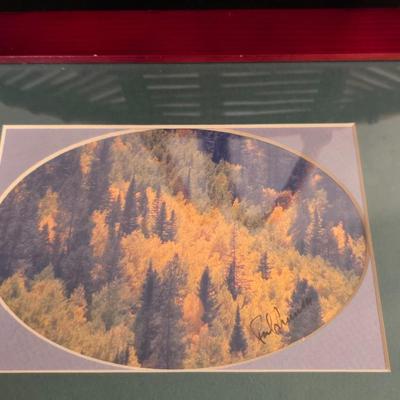 Signed Fall Foliage Aspen Print & Wicker Fish Basket Decor