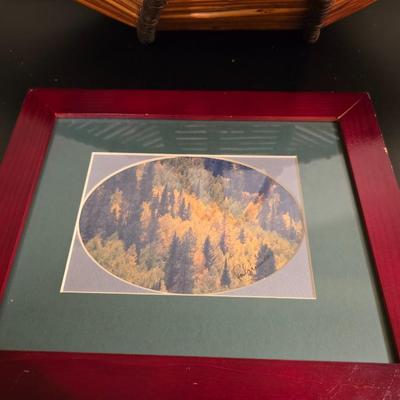 Signed Fall Foliage Aspen Print & Wicker Fish Basket Decor