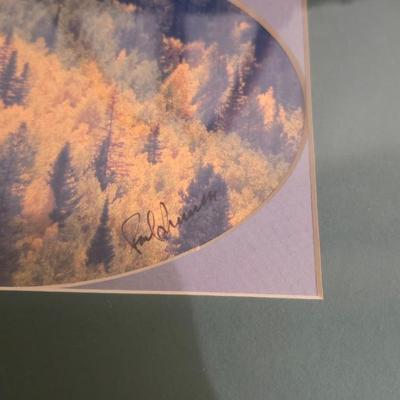 Signed Fall Foliage Aspen Print & Wicker Fish Basket Decor