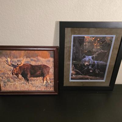 Wildlife Art Prints: Moose & Bear