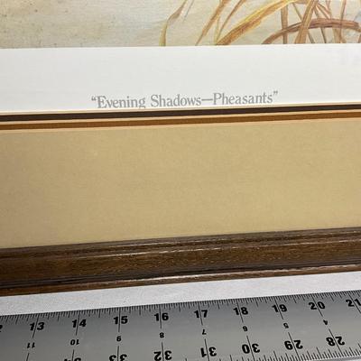 Evening Shadows-Pheasant by Millette #538/580