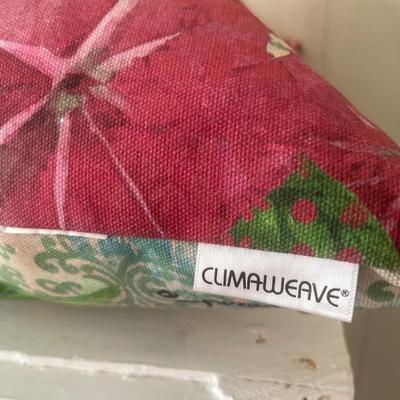 Climaweave 2 bird outdoor pillows