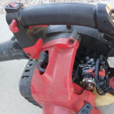 Gas Yard Tools – Blower & Weed Eater (For Parts or Repair)