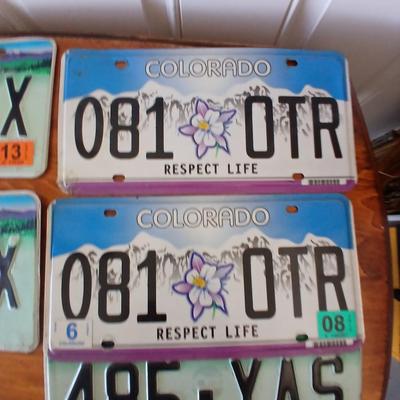 Colorado License Plate Lot – 10 Assorted Styles & Years