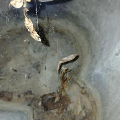 Outdoor Garden Planters & Tiered Water Feature Fountain