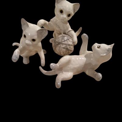 3 playful kittens