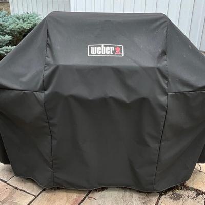 Grilling Time with a Weber