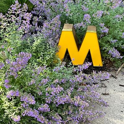 M sign, home decor 13x16”