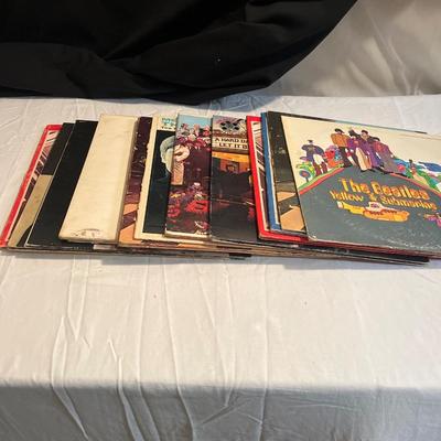 Beatles Vinyl (D-MG)
