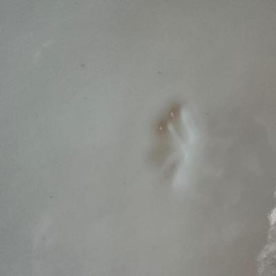 Sale Photo Thumbnail #379