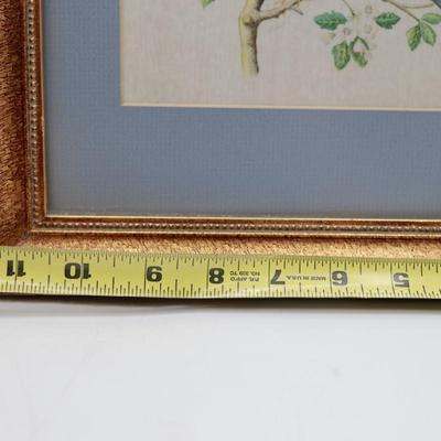 Framed Vintage Silk Bird Print in Gilt Frame