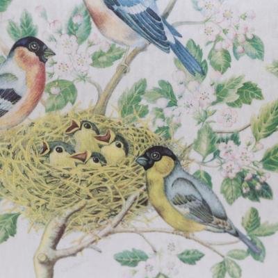 Framed Vintage Silk Bird Print in Gilt Frame