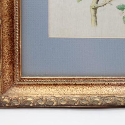 Framed Vintage Silk Bird Print in Gilt Frame