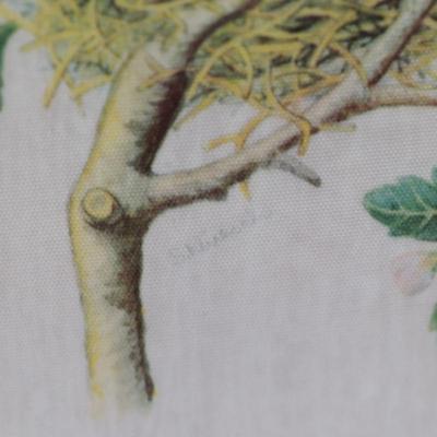 Framed Vintage Silk Bird Print in Gilt Frame