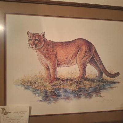 Sale Photo Thumbnail #59: Framed Print - signed and numbered