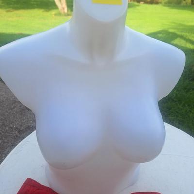 Sale Photo Thumbnail #254: This is a Medium female mannequin perfect for using to sell clothing online or just a fun deco item.  The t shirt on it is a women's large polo and it's a little too big but it comes with the bust.