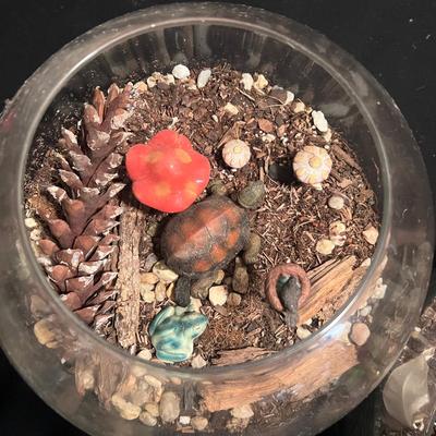 Fairy Garden & Glass Terrariums (LR-RG)
