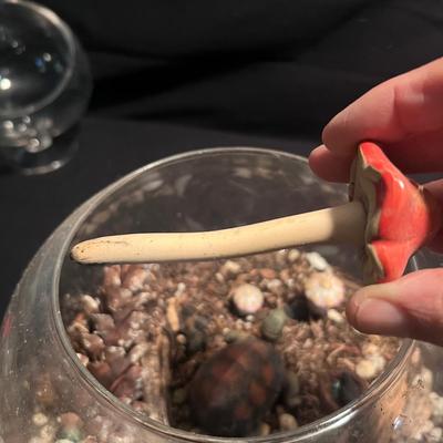 Fairy Garden & Glass Terrariums (LR-RG)
