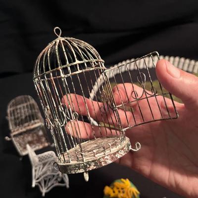 Fairy Garden & Glass Terrariums (LR-RG)