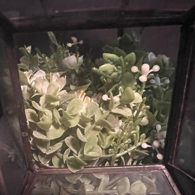 Fairy Garden & Glass Terrariums (LR-RG)