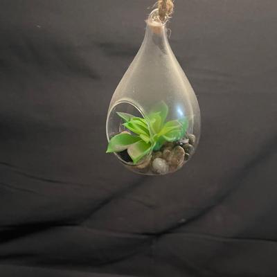 Fairy Garden & Glass Terrariums (LR-RG)