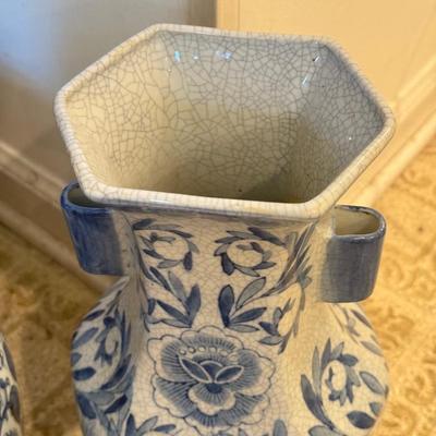 LOT 104F: Snake Plant w/ Blue & White Pottery