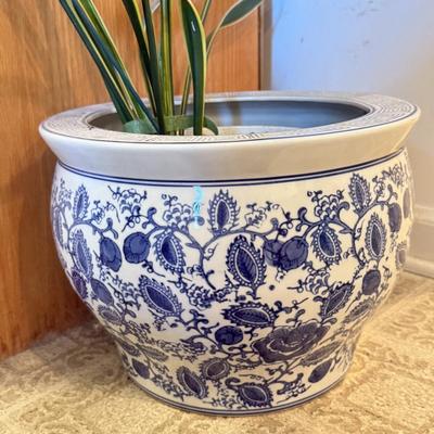 LOT 104F: Snake Plant w/ Blue & White Pottery