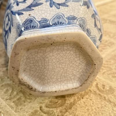 LOT 104F: Snake Plant w/ Blue & White Pottery