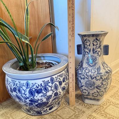 LOT 104F: Snake Plant w/ Blue & White Pottery