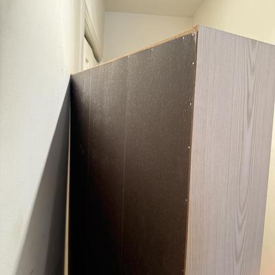 LOT 113F: Tall Bookshelf