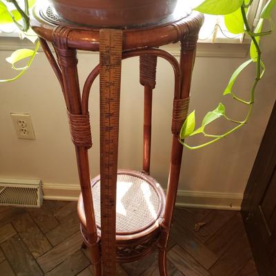 LOT 129L: Rattan Plant Stand with Live Plant and Large Decorative Table Lamp