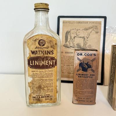 LOT 174F: Vintage Medicine / Apothecary Bottles & Tonics