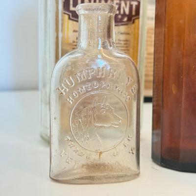 LOT 174F: Vintage Medicine / Apothecary Bottles & Tonics