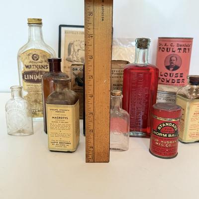 LOT 174F: Vintage Medicine / Apothecary Bottles & Tonics