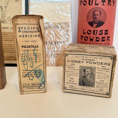 LOT 174F: Vintage Medicine / Apothecary Bottles & Tonics