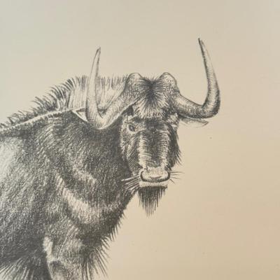 LOT 179F: Signed B Cunningham Animal Drawing