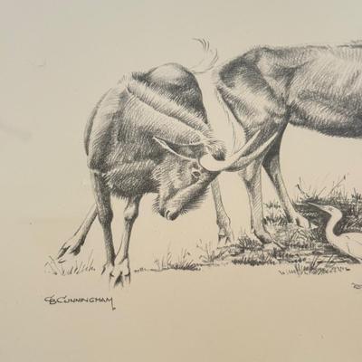 LOT 179F: Signed B Cunningham Animal Drawing
