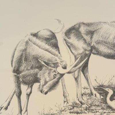 LOT 179F: Signed B Cunningham Animal Drawing